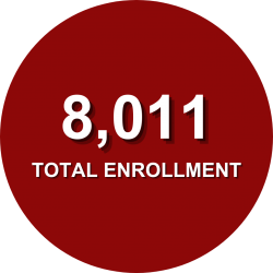 8,011 Total enrollment