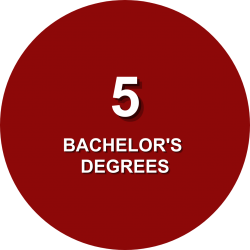 5 Bachelor's Degrees