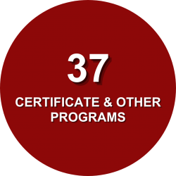 37 Certificate & Other Programs