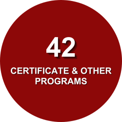 Certificate & Other Programs