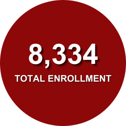 8,011 Total enrollment