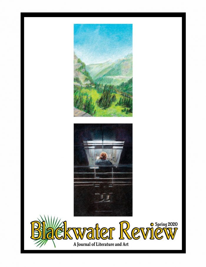 2020 Blackwater Review